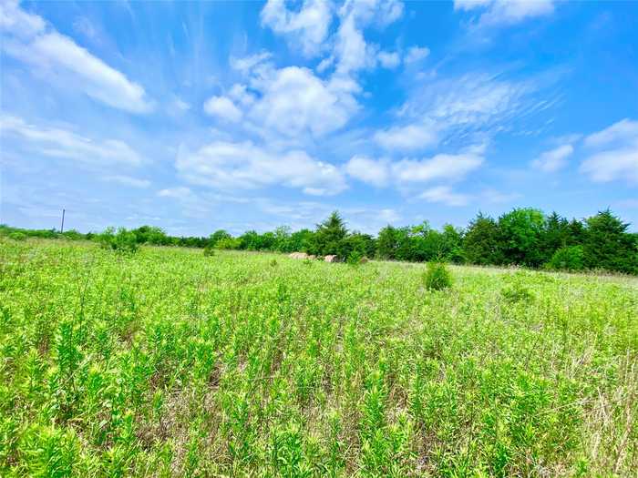 photo 29: TBD County Rd 3445, Honey Grove TX 75446