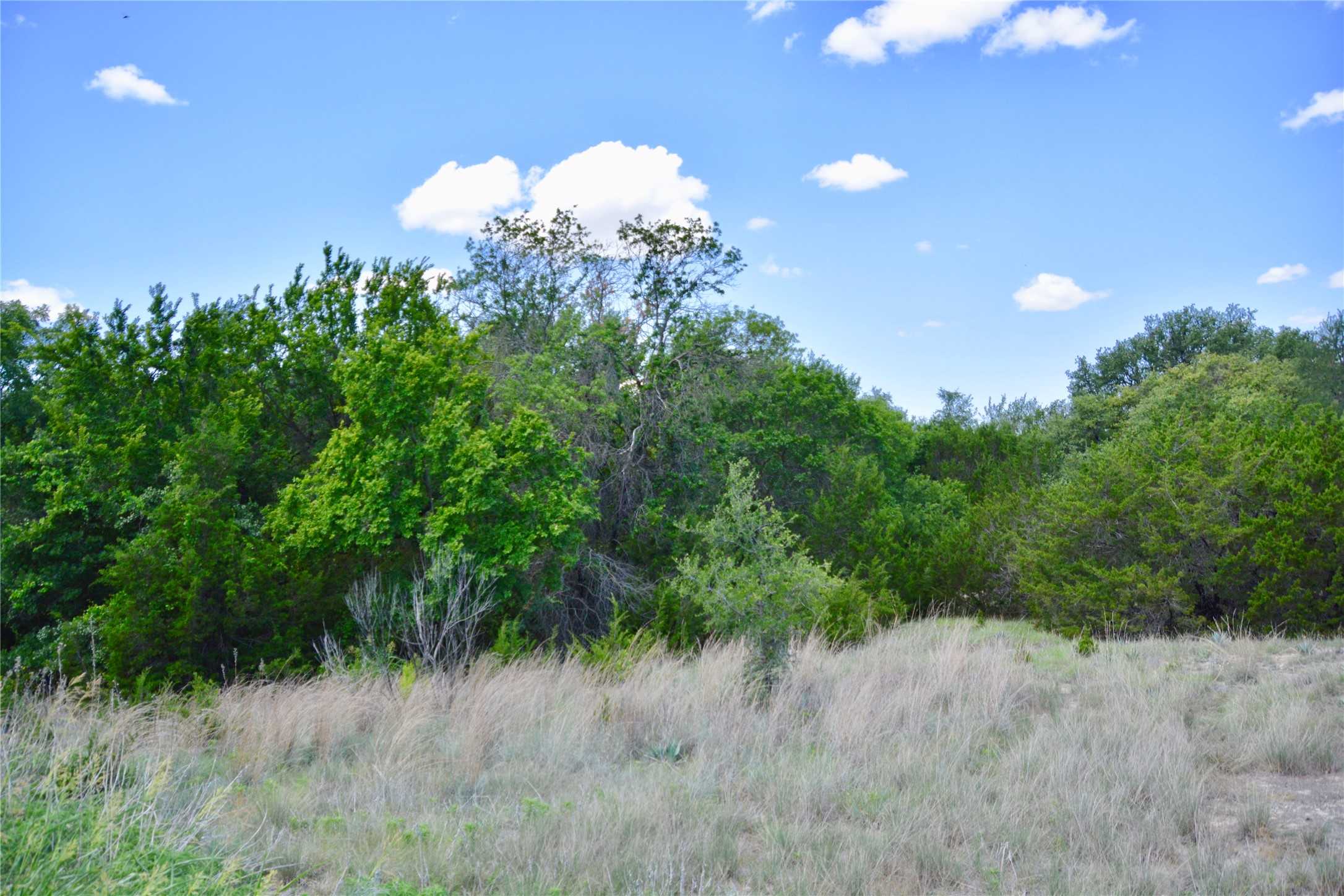 photo 2: 76 S US Hwy 183, Goldthwaite TX 76844