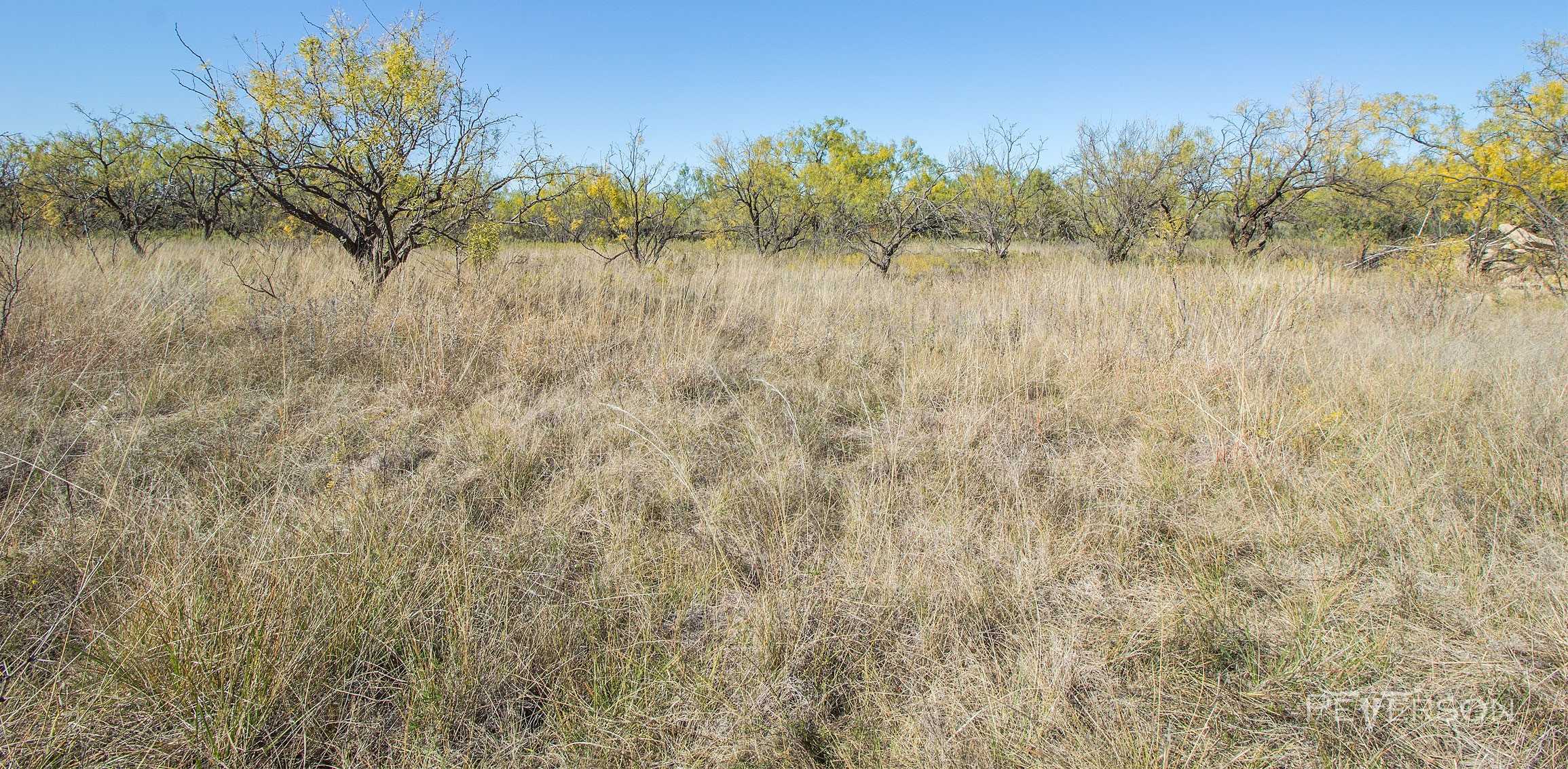 photo 3: Lot #1 7050 Autumn Sage Lane, Abilene TX 79606