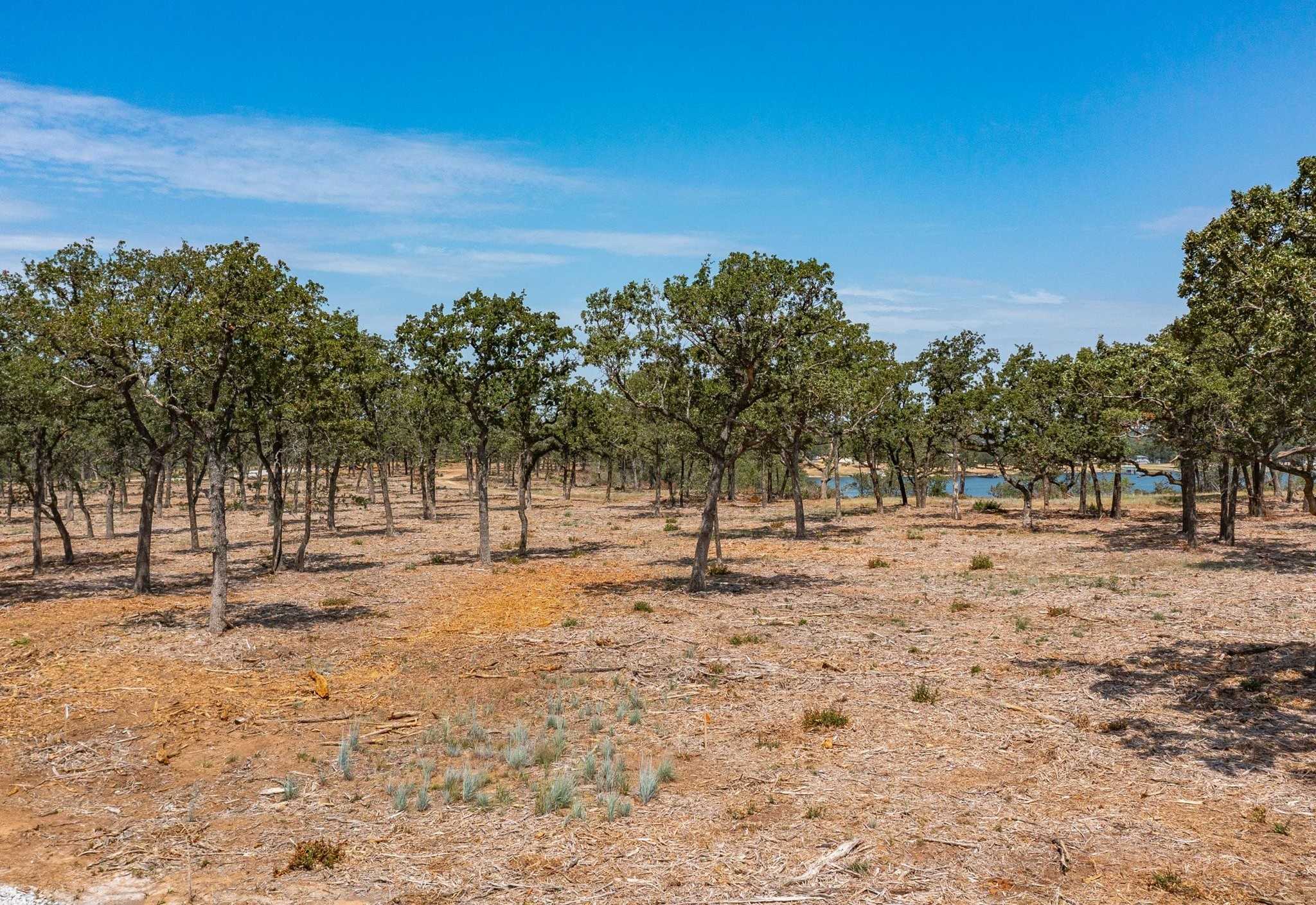 photo 3: Lot 10 Choate, Bowie TX 76230