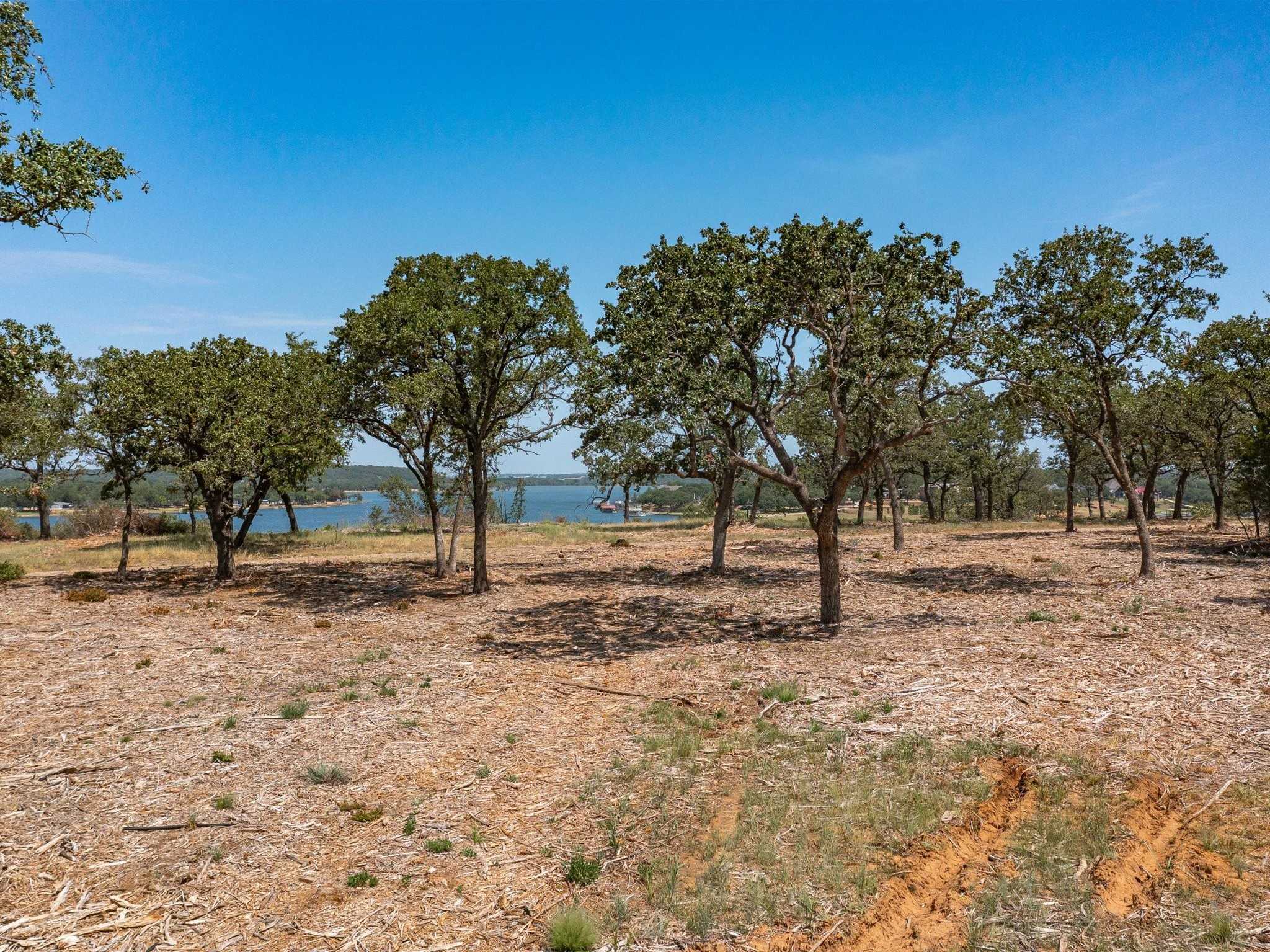 photo 3: Lot 11 Choate, Bowie TX 76230