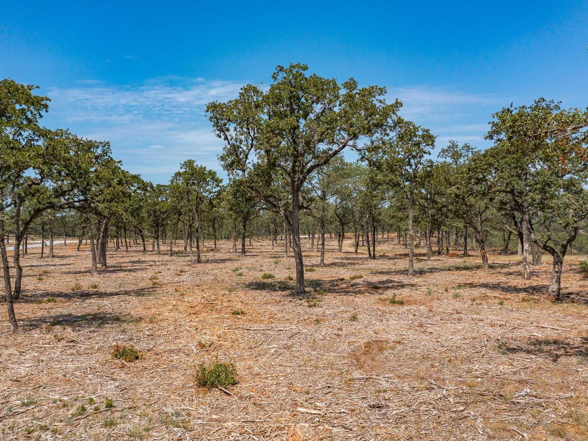 photo 3: Lot 12 Choate, Bowie TX 76230