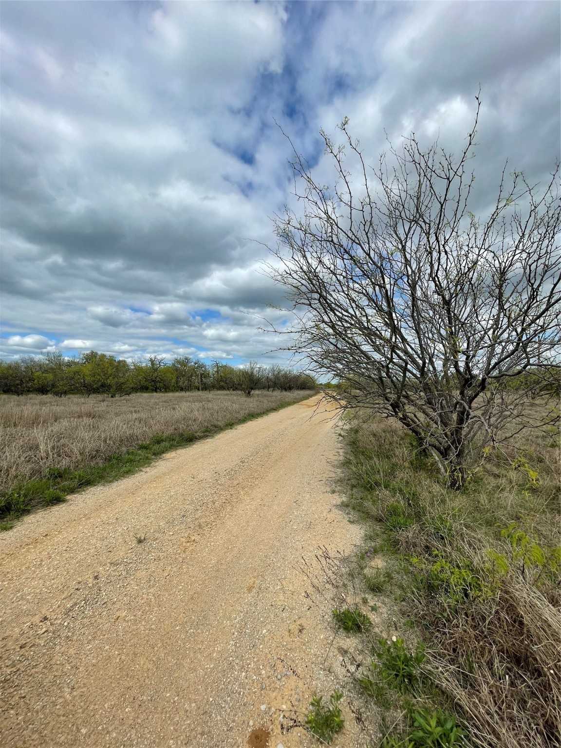 photo 2: TBD Oilfield Road, Jacksboro TX 76458