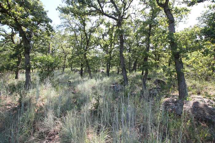 photo 1: Lot 226 Ridgeline Drive, Chico TX 76431