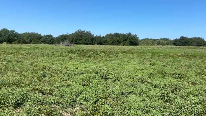 photo 10: TBD F.M. 3023 Highway S, Goldthwaite TX 76844