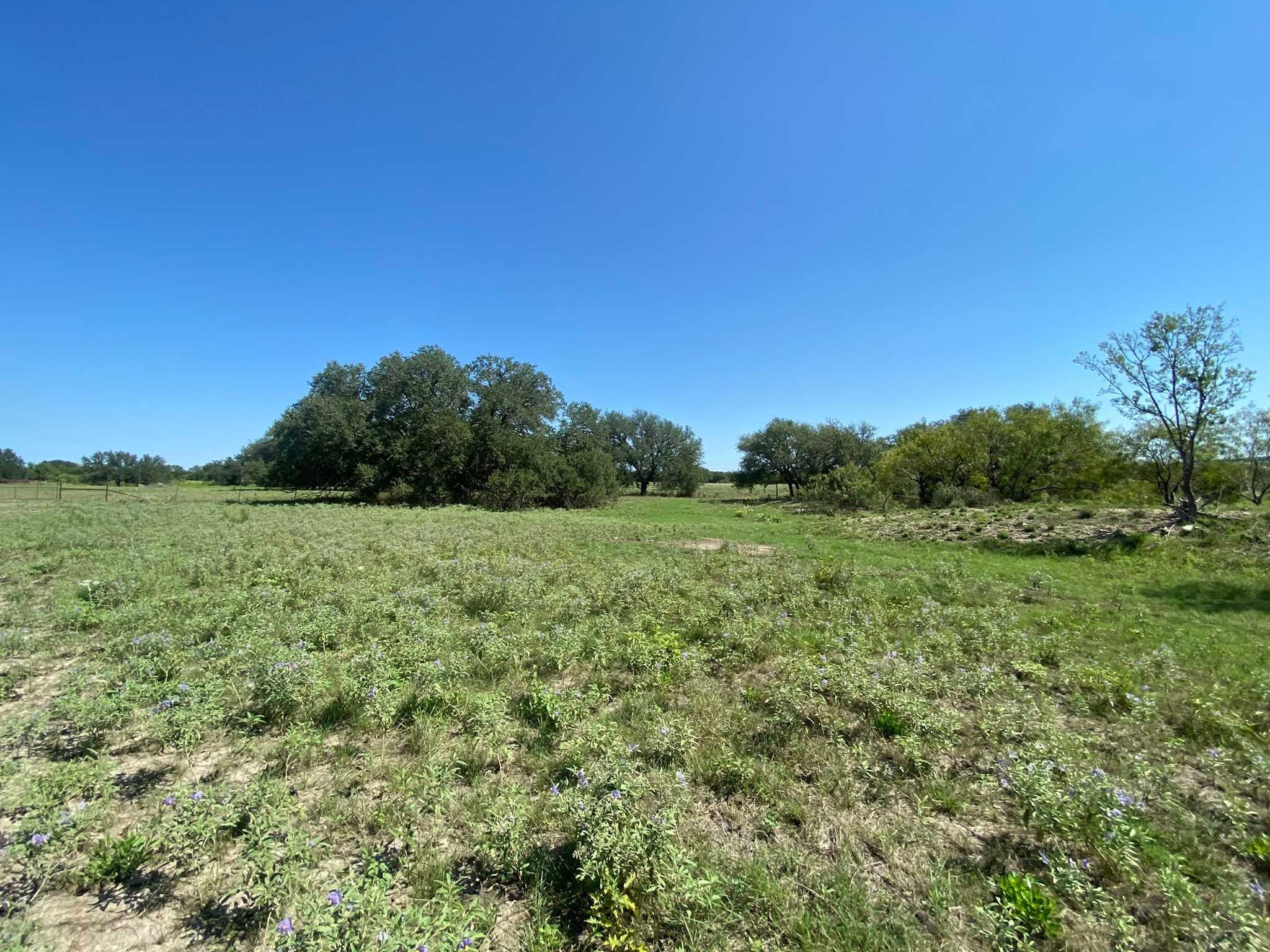 photo 1: TBD State Highway 16 South S, Goldthwaite TX 76844