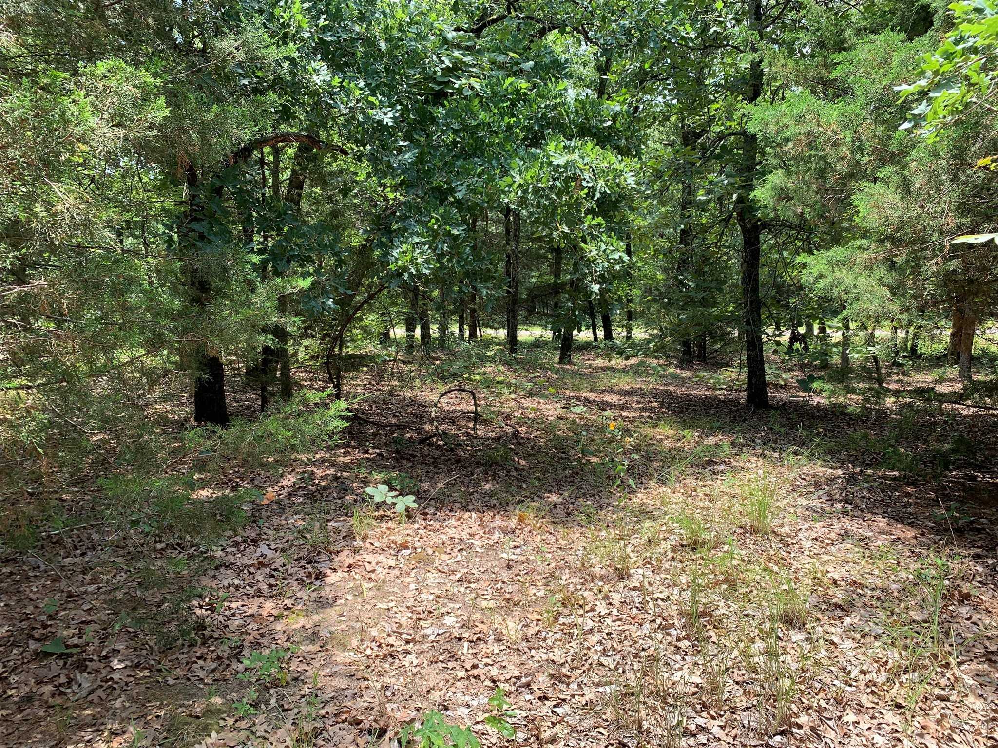 photo 1: TBD Co. Rd. 1503, Athens TX 75751