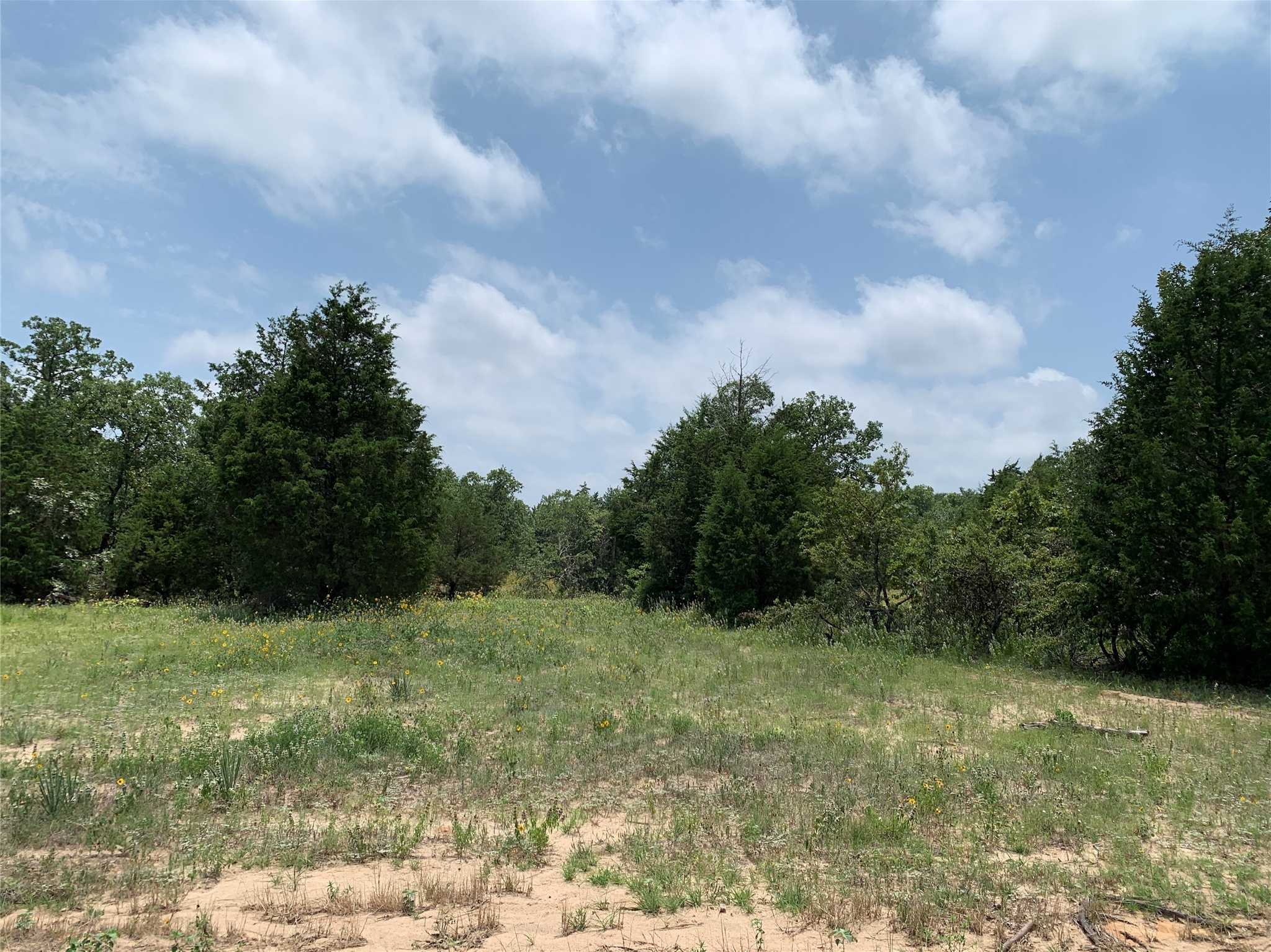 photo 2: TBD Co. Rd. 1503, Athens TX 75751