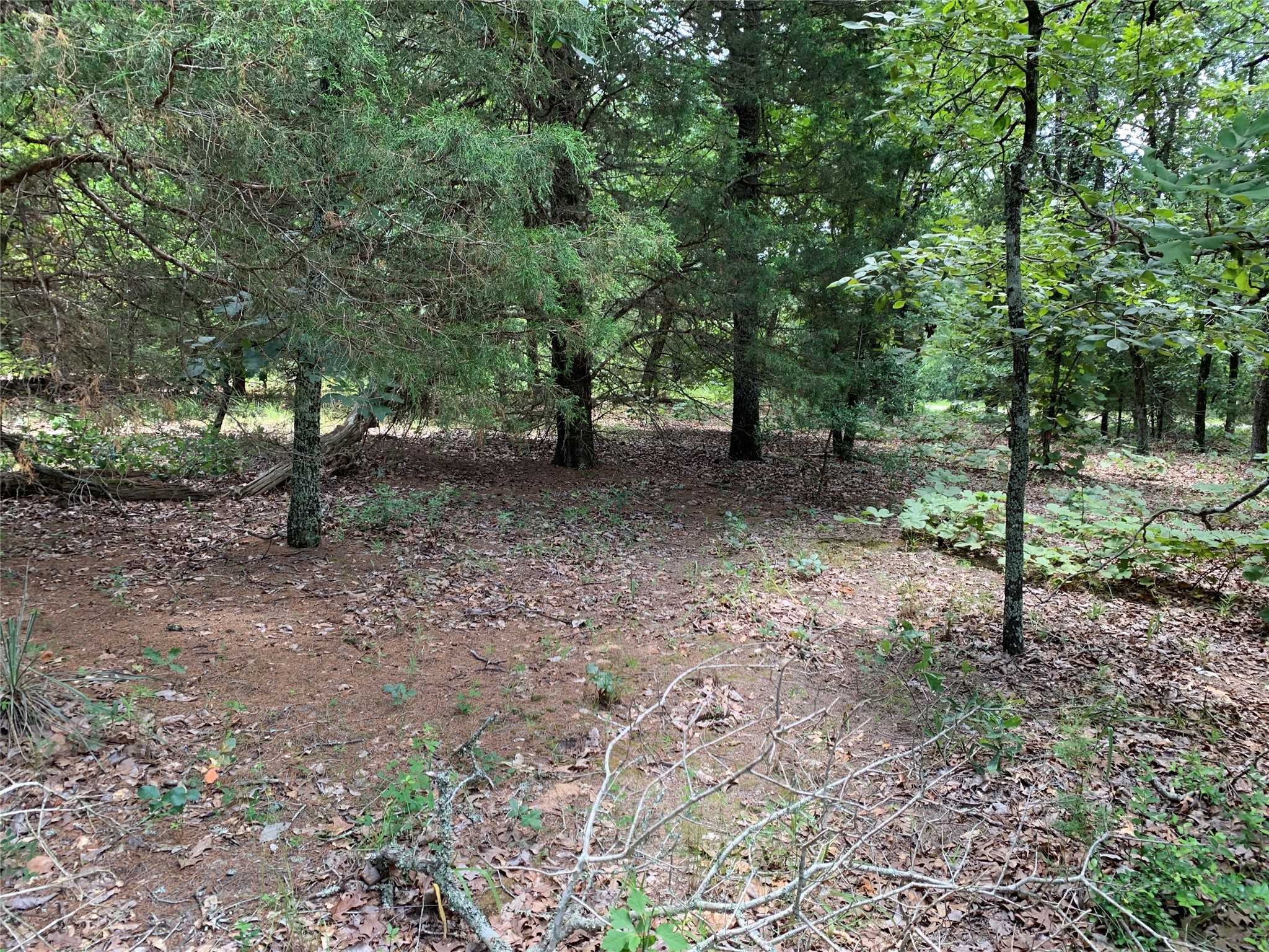 photo 3: TBD Co. Rd. 1503, Athens TX 75751