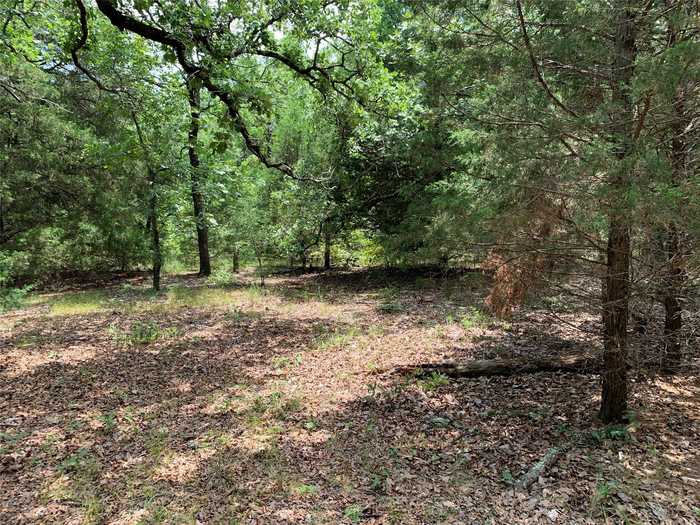 photo 5: TBD Co. Rd. 1503, Athens TX 75751