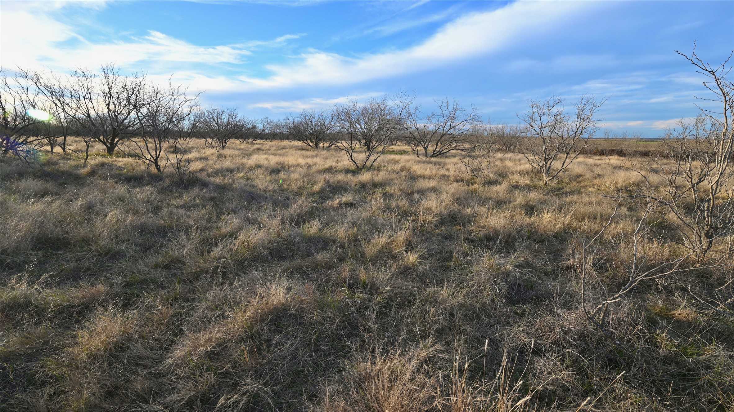 photo 2: 3576 Gray Road, Nocona TX 76255