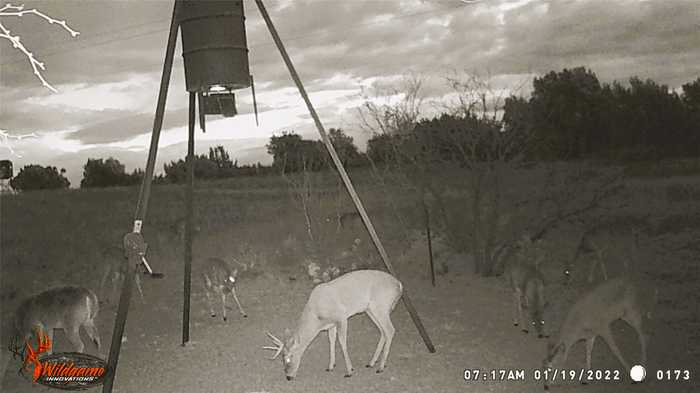 photo 28: TBD Highway 67, No City TX 76882