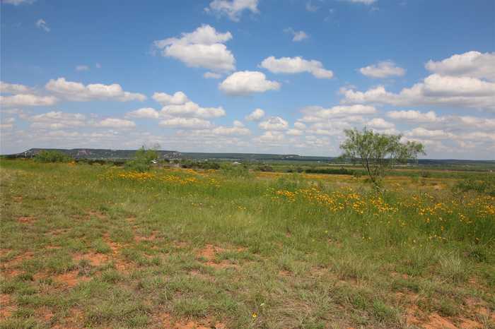 photo 14: Lot 2 Marshal Trail, Tuscola TX 79562