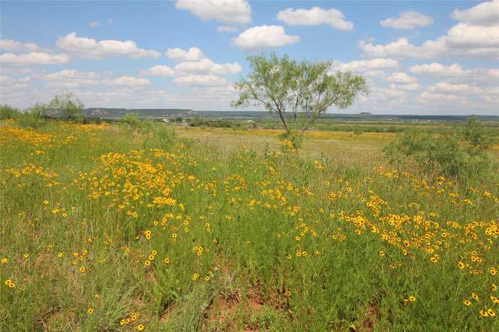 photo 2: Lot 2 Marshal Trail, Tuscola TX 79562