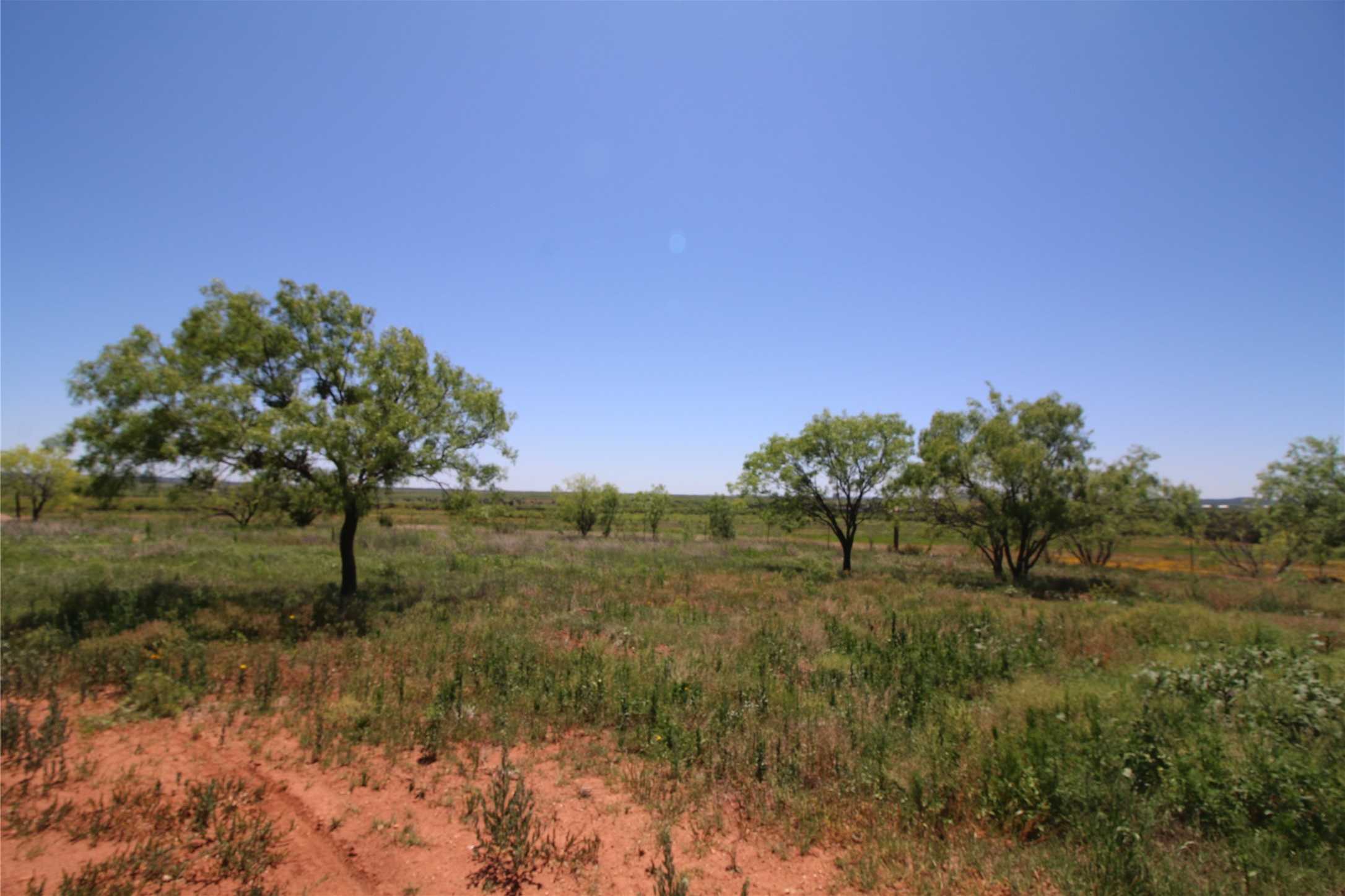 photo 3: Lot 2 Marshal Trail, Tuscola TX 79562