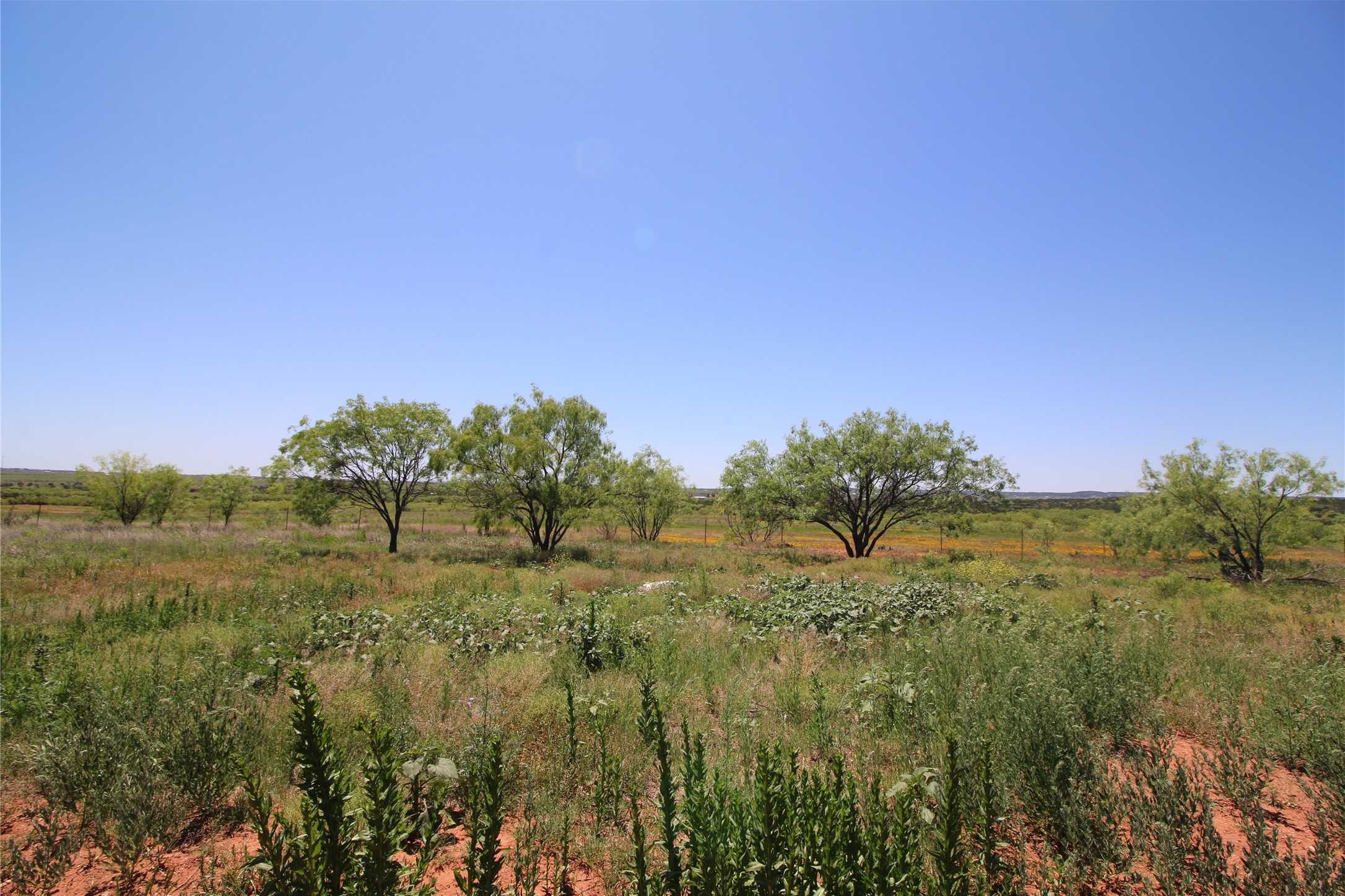 photo 2: Lot 3 Marshal Trail, Tuscola TX 79562