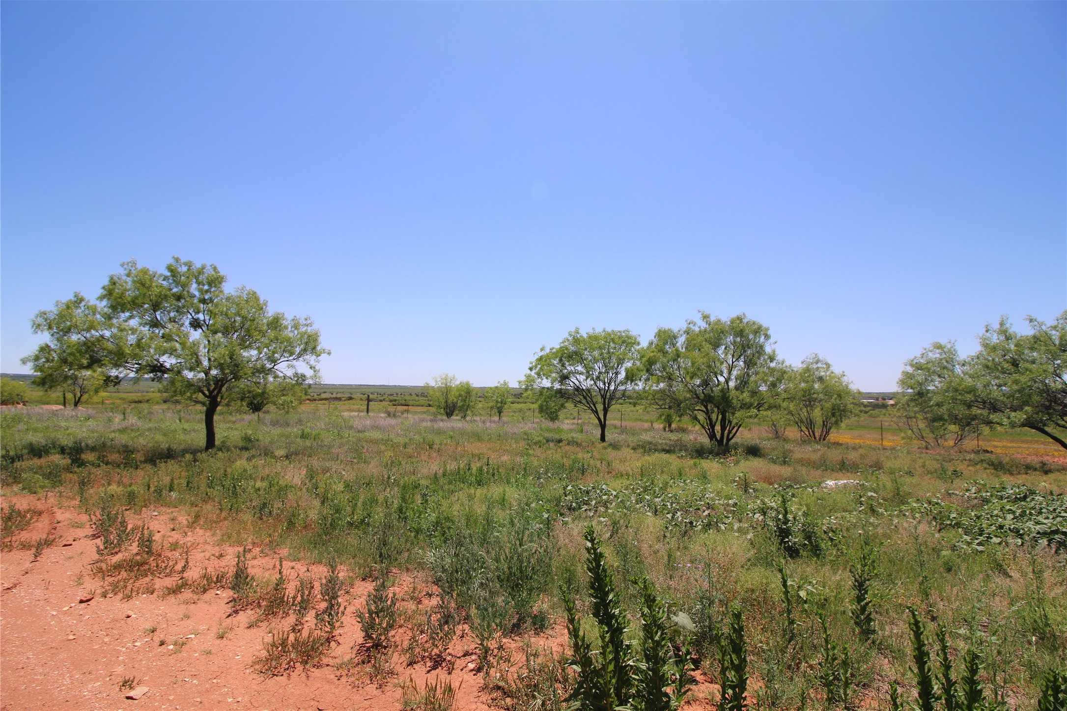 photo 3: Lot 5 Marshal Trail, Tuscola TX 79562