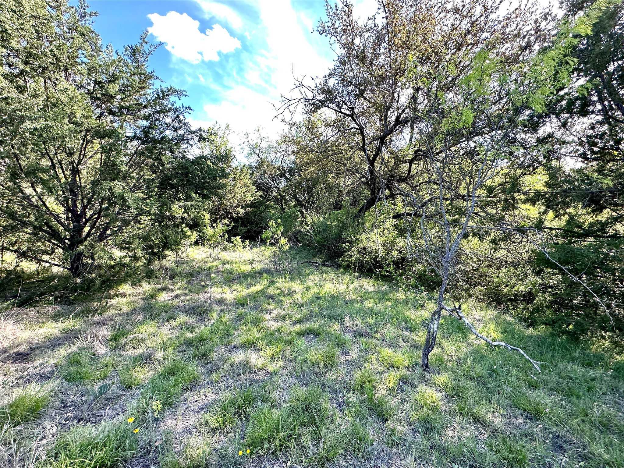 photo 3: TBD4 County Rd 153, Comanche TX 76442