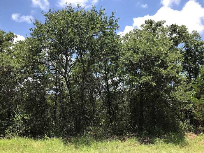 photo 13: Lot 27 N Lakeview Drive, Palo Pinto TX 76484