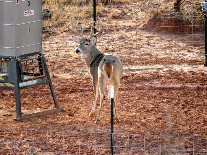 photo 2: TBD CR 247, Crowell TX 79227