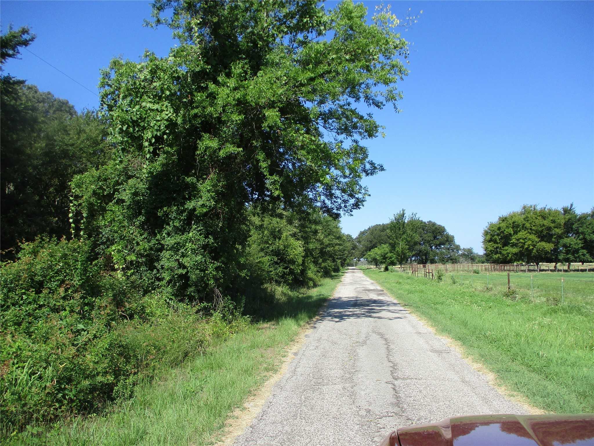 photo 3: TBD RS County Road 3220, Emory TX 75440