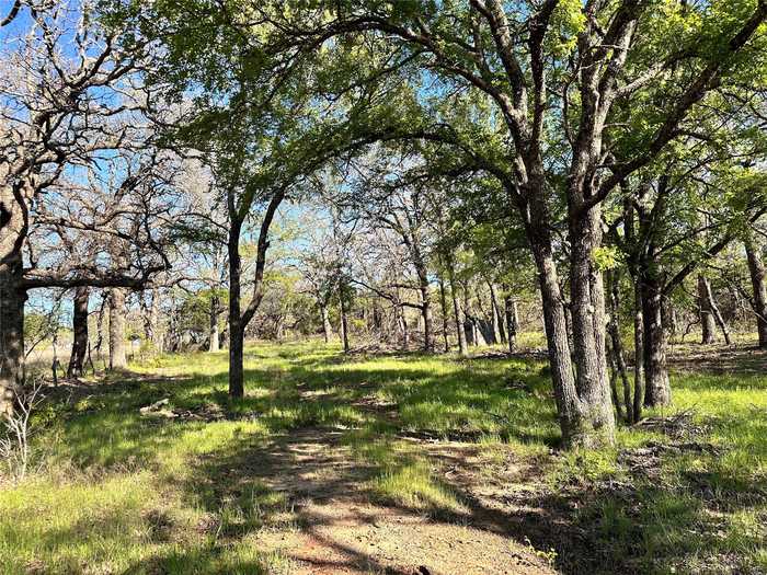 photo 1: Lot 27 PR 1272, Carlton TX 76436