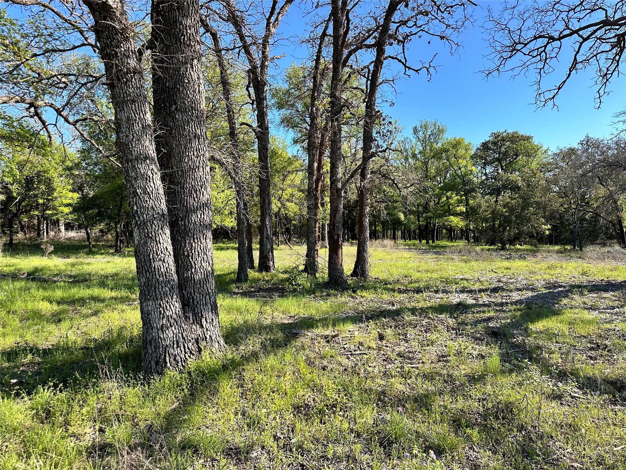 photo 2: Lot 27 PR 1272, Carlton TX 76436