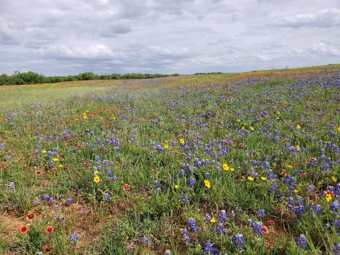 photo 1: TBD SH 70, No City TX 79556