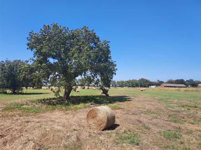 photo 2: TBD Tract 1 11 Acres County Rd 4615, Trenton TX 75490