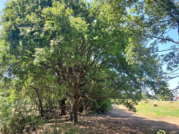 photo 21: TBD Tract 1 11 Acres County Rd 4615, Trenton TX 75490