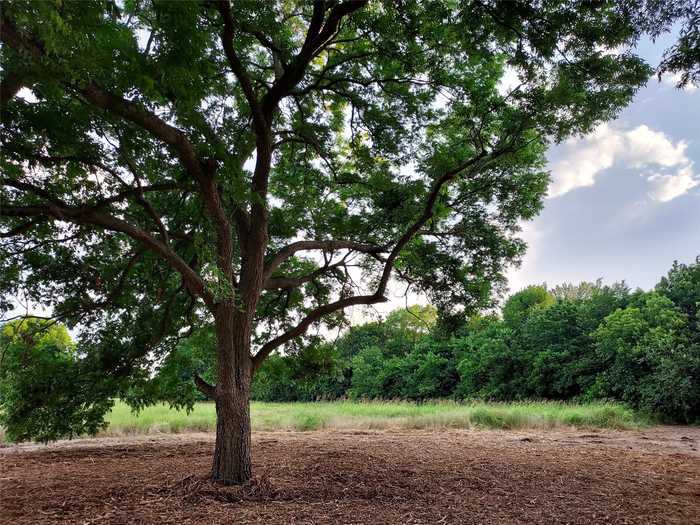 photo 1: TBD Tract 2 11 Acres County Rd 4615, Trenton TX 75490