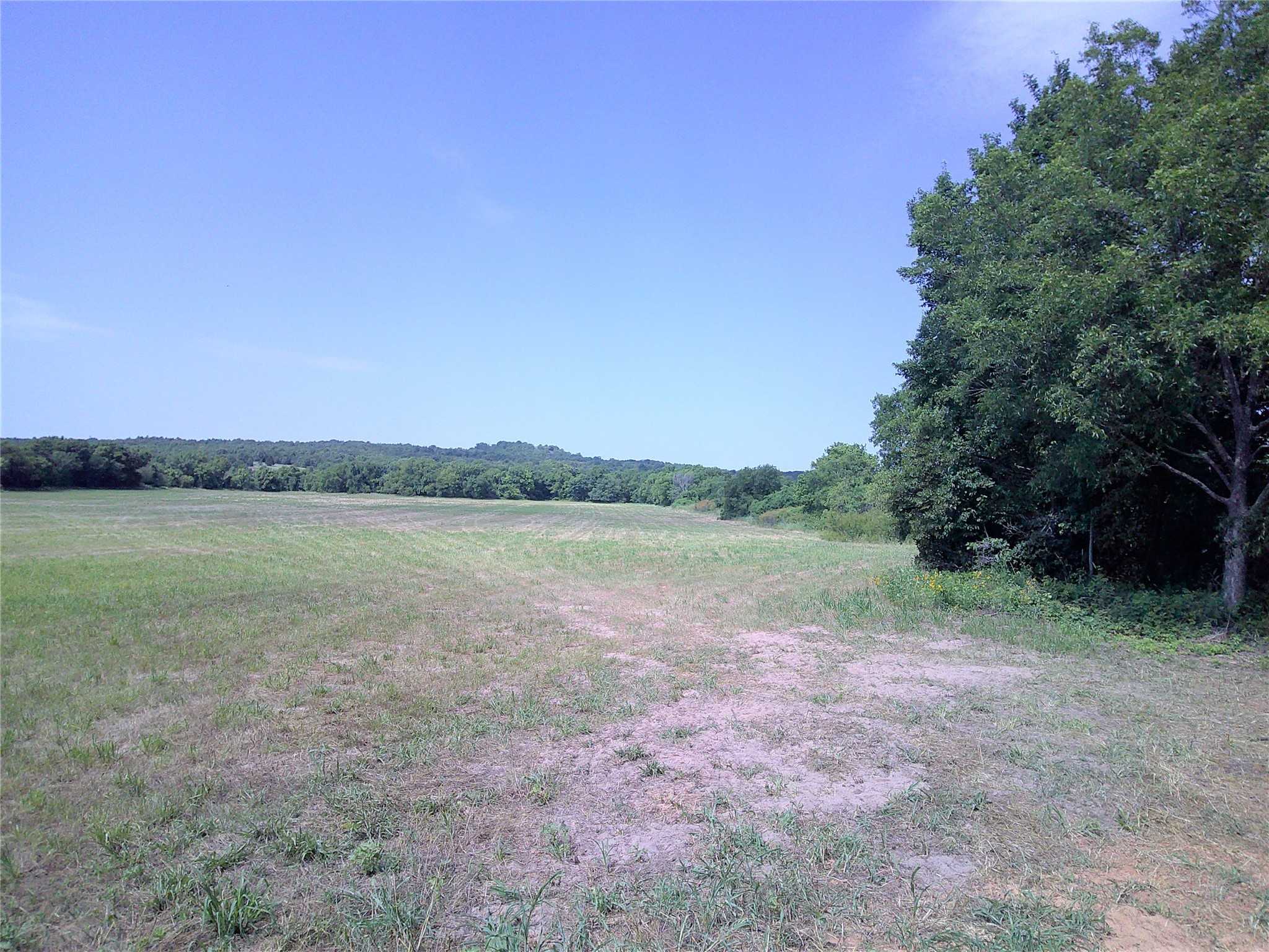 photo 2: Lot 4 Starr Man, Saint Jo TX 76265