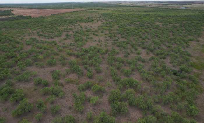 photo 2: 75+/- Ac Hwy 6, Lueders TX 79533