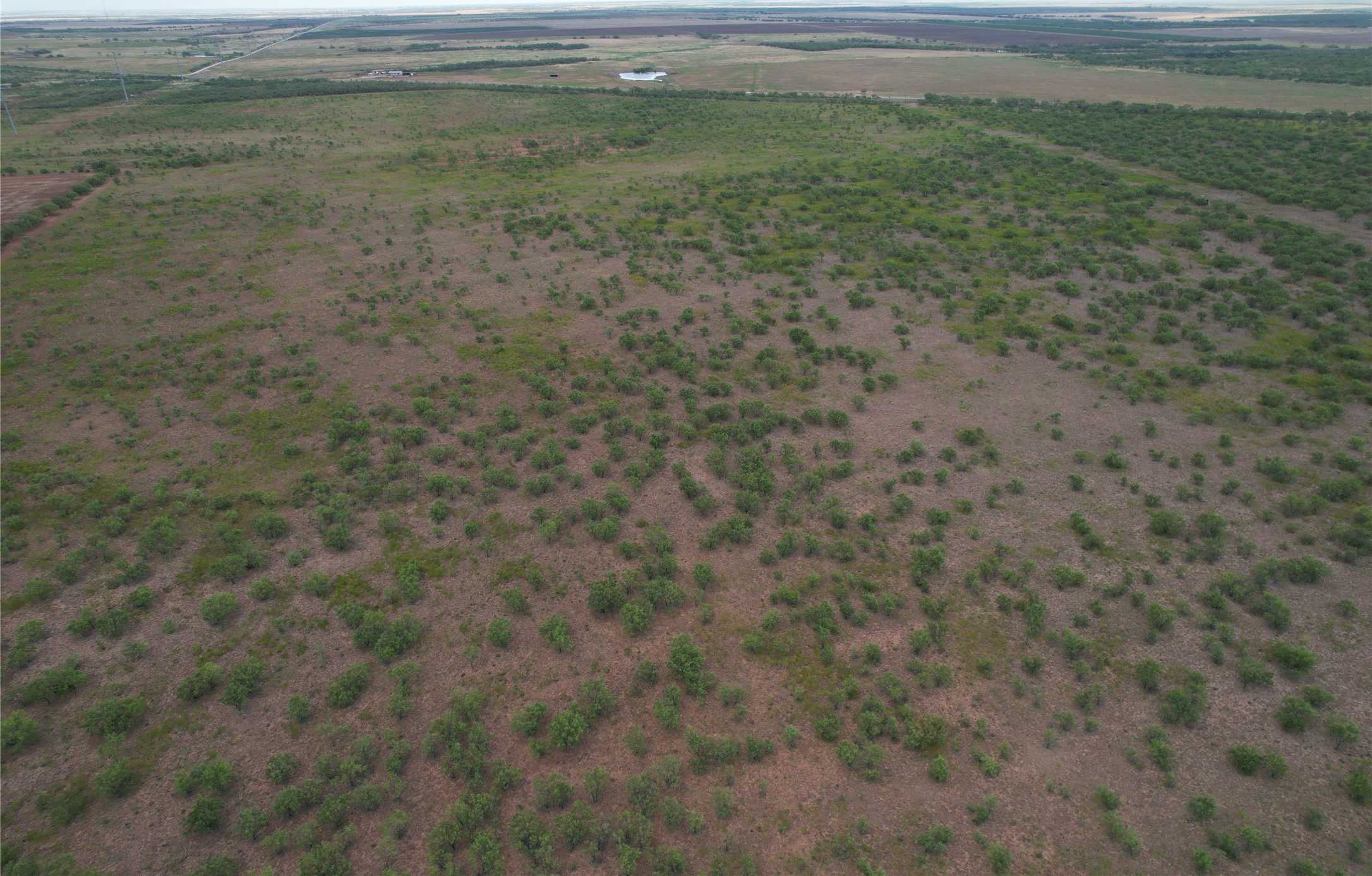 photo 3: 75+/- Ac Hwy 6, undefined TX 79533