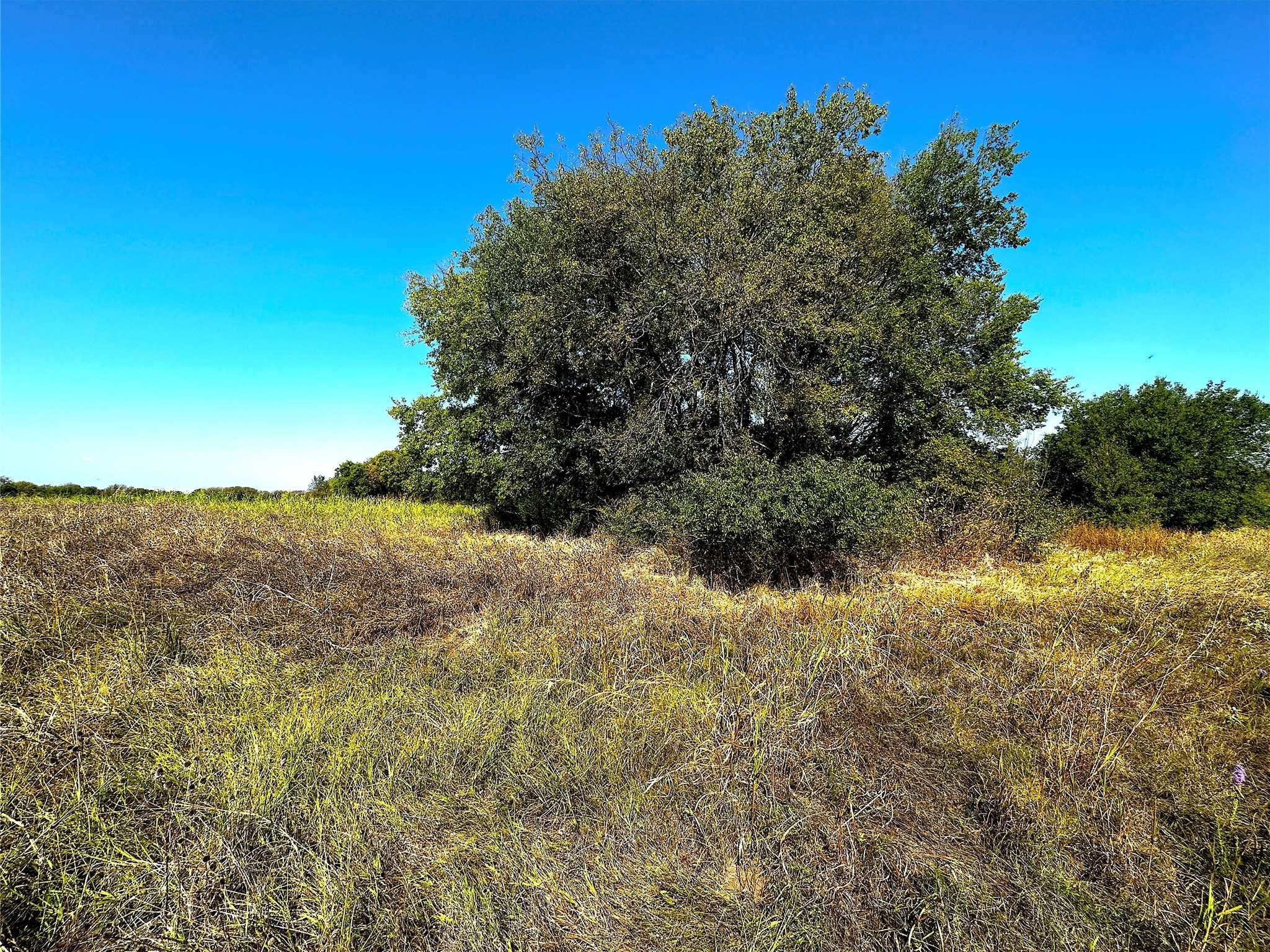 photo 3: Choctaw Trail, East Tawakoni TX 75472