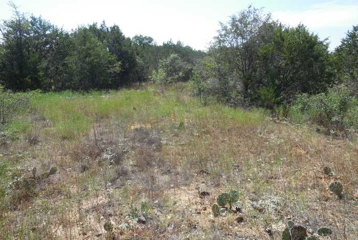 photo 1: Lot 41 County Road 136, Ranger TX 76470