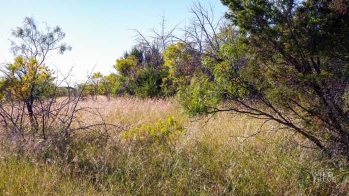 photo 2: TBD Big Country Trail, Strawn TX 76475