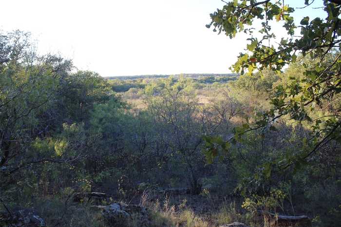 photo 1: Eureka School Road, Nocona TX 76255