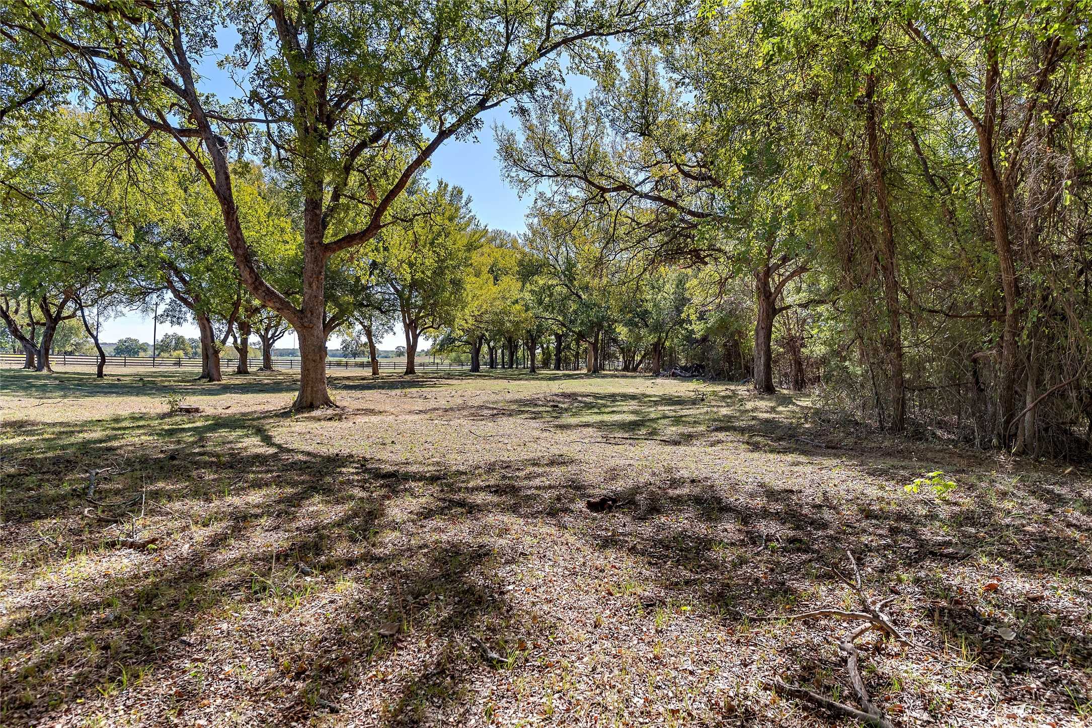 photo 3: TBD FM 1655 Road, Bridgeport TX 76426