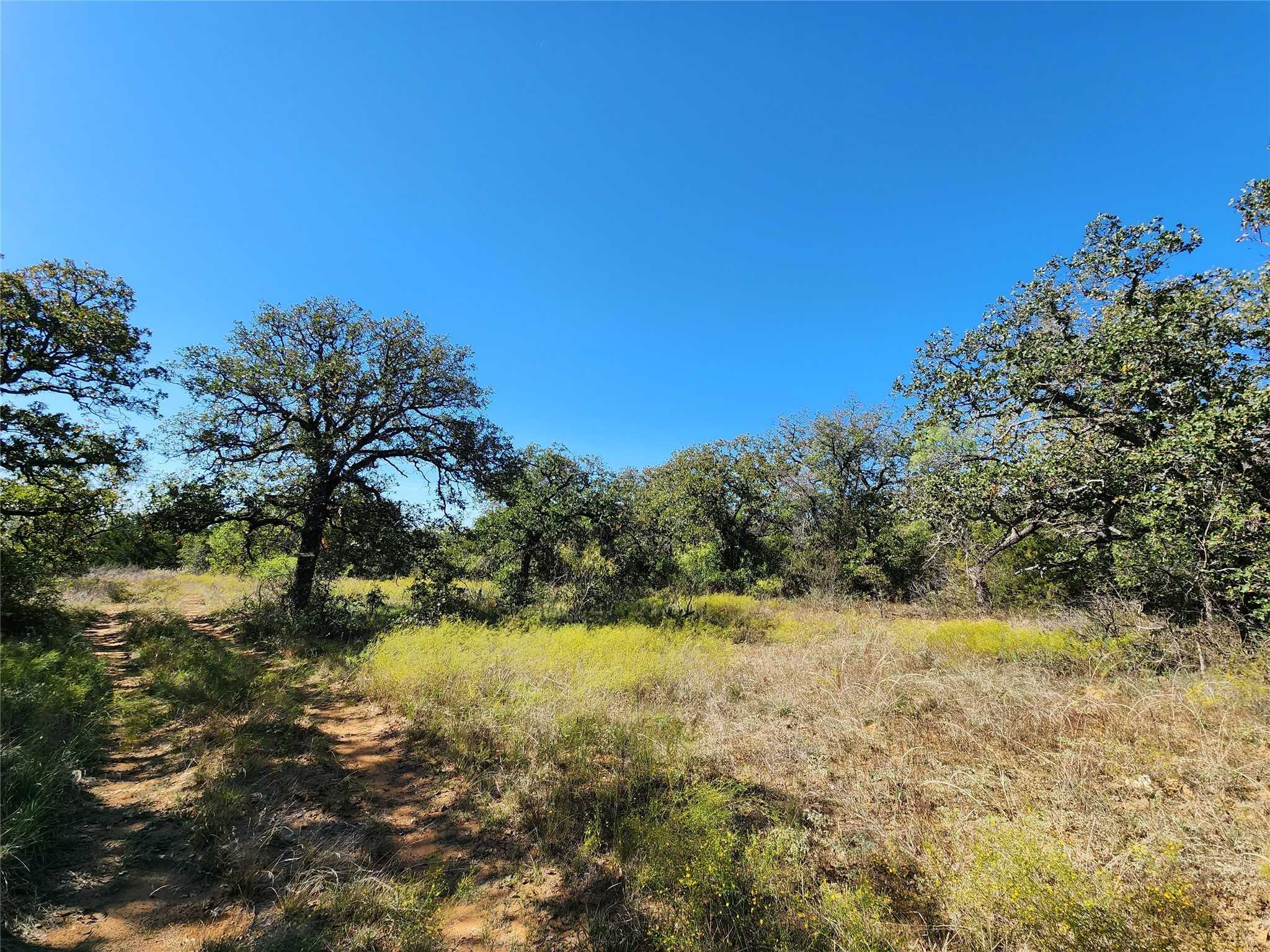 photo 1: TBD County Road 132, Brownwood TX 76801