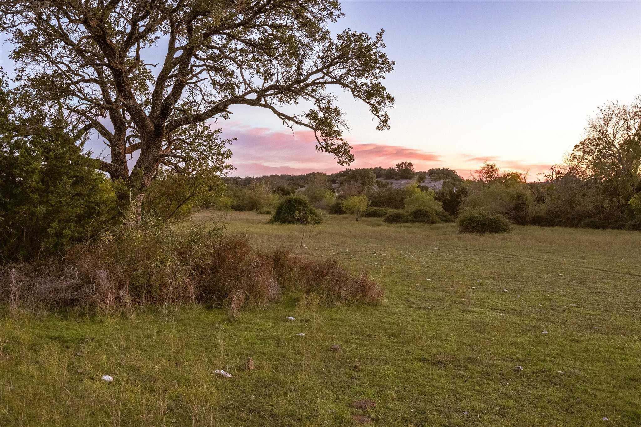 photo 3: TBD County Road 4150, Clifton TX 76634