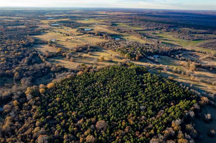 photo 24: Farm Road 909, Bogata TX 75417