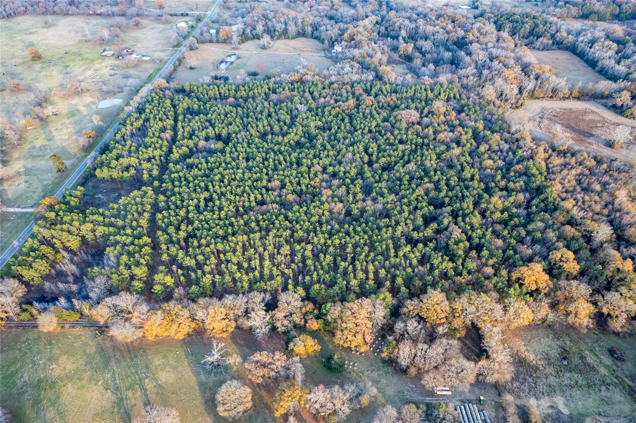 photo 3: Farm Road 909, Bogata TX 75417