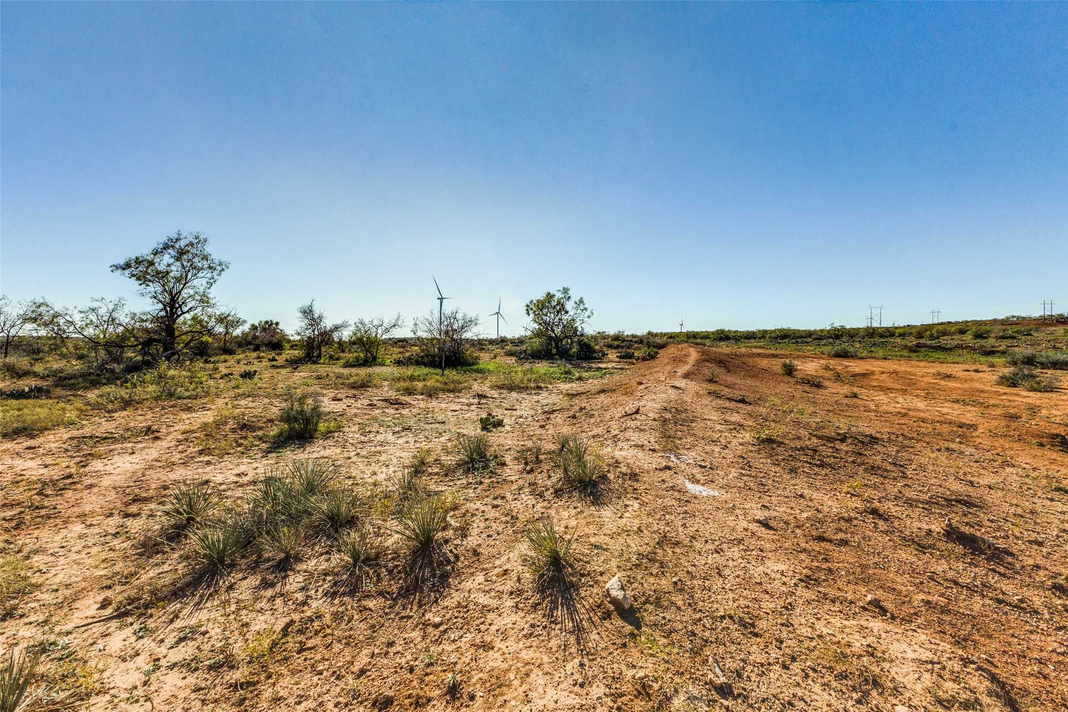 photo 3: 1407 county road 441, Roby TX 79556