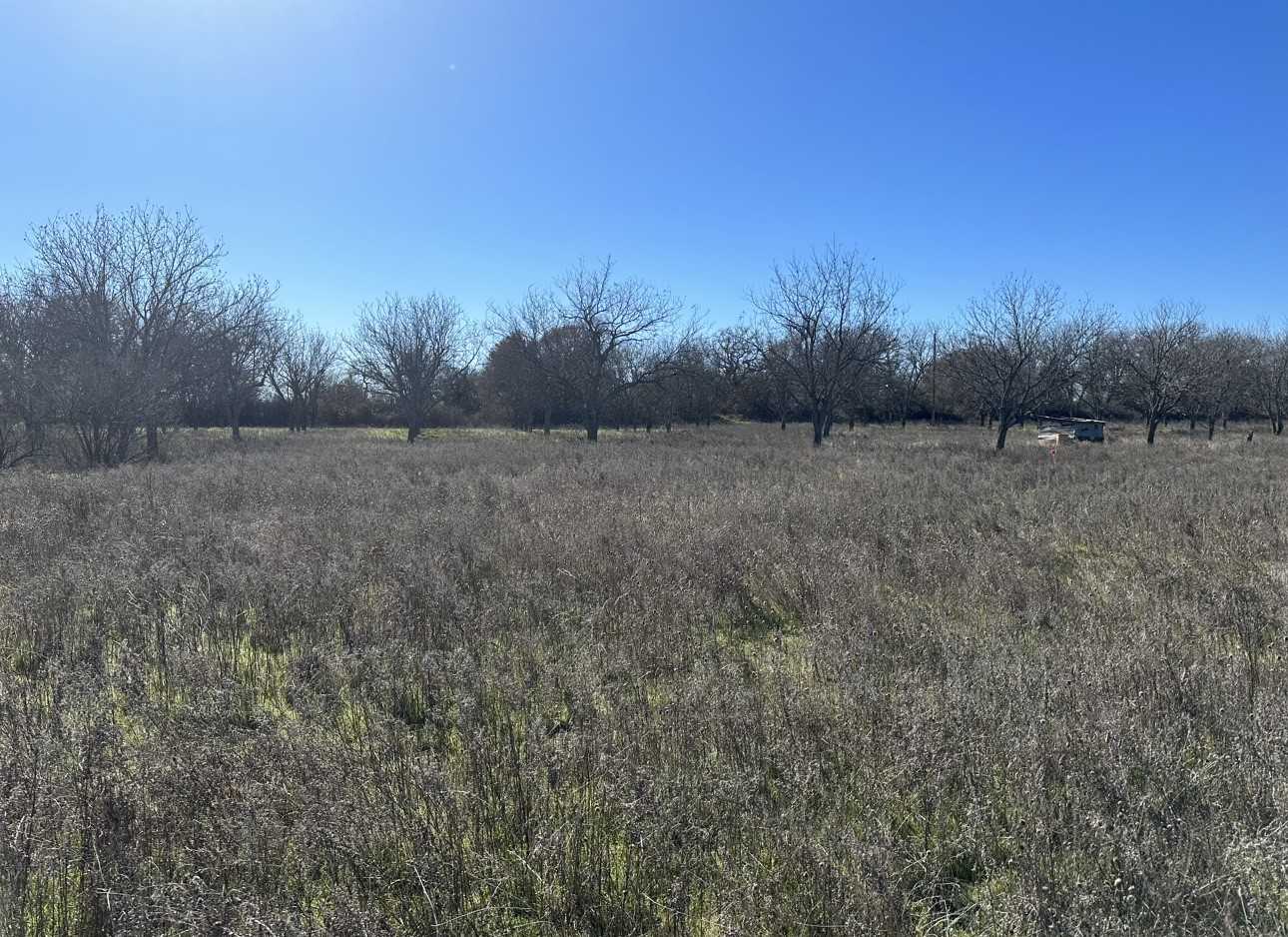 photo 3: TBD CR 452, Comanche TX 76442