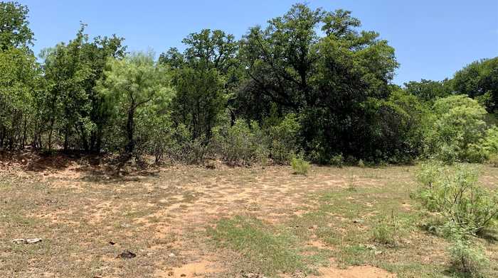 photo 2: TBD CR 454, Olden TX 76466