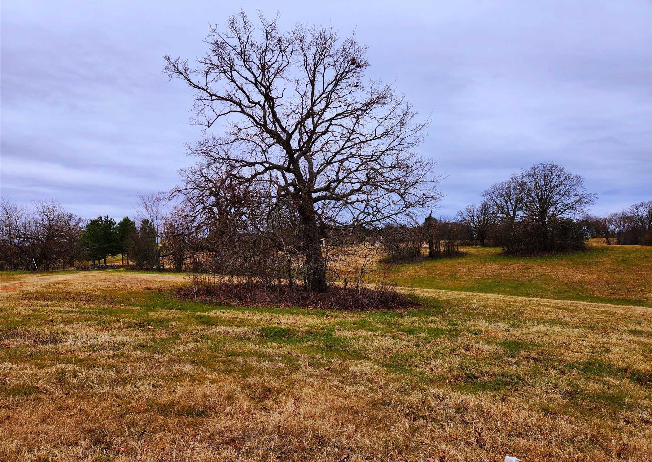 photo 1: Lot 125 Clear View Court, Athens TX 75752