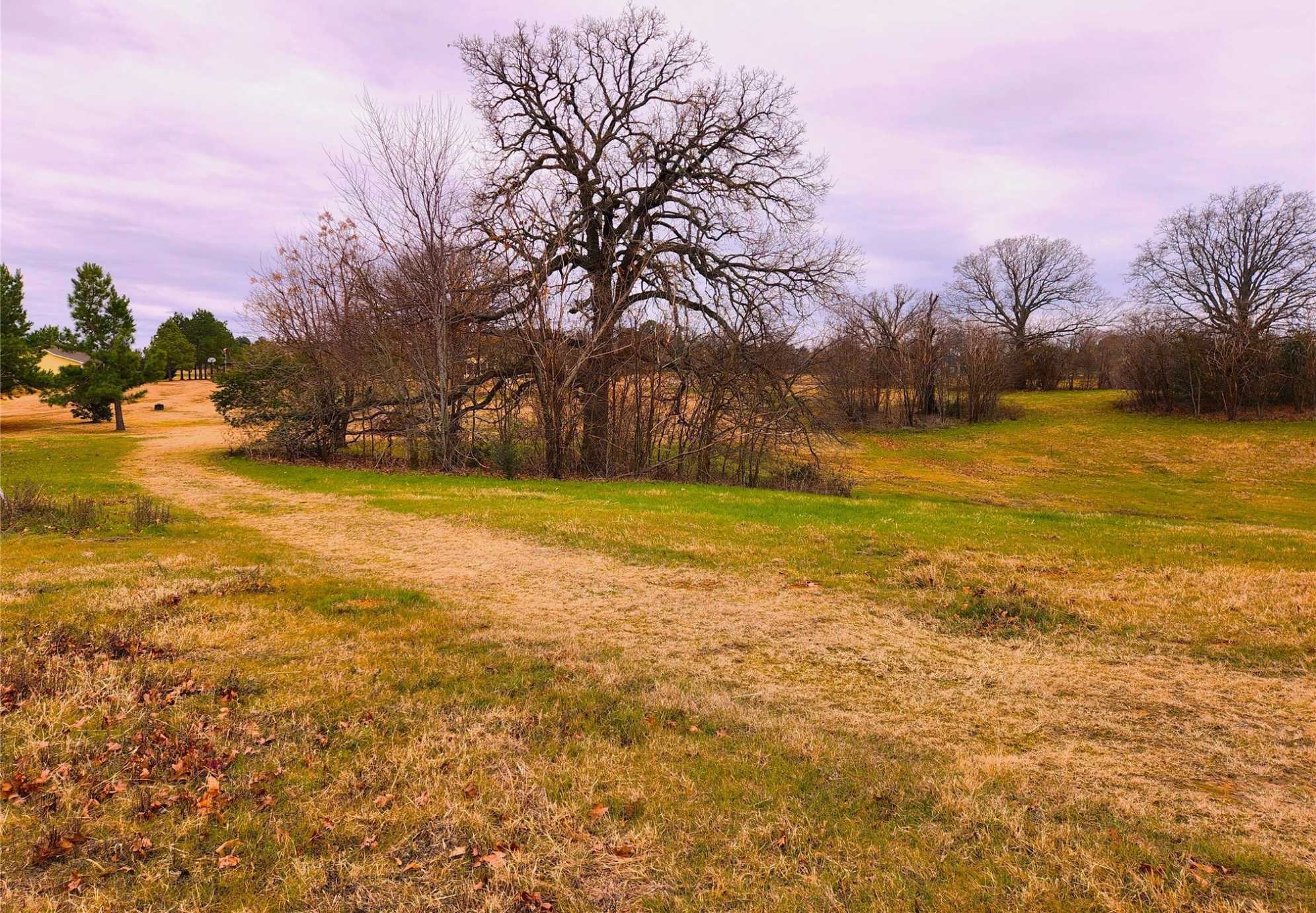 photo 3: Lot 125 Clear View Court, Athens TX 75752