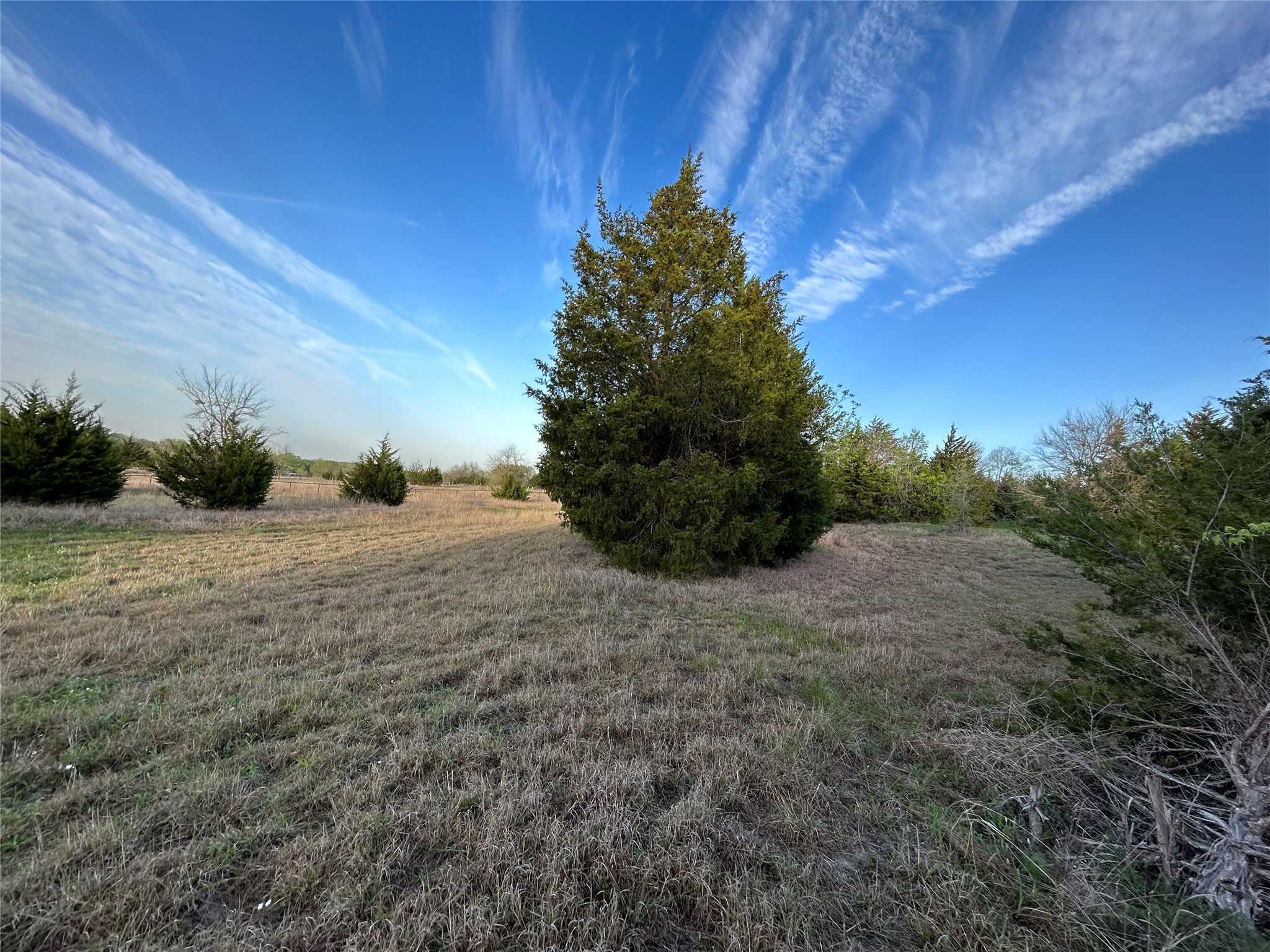 photo 3: 450 Neck Road, Ferris TX 75125