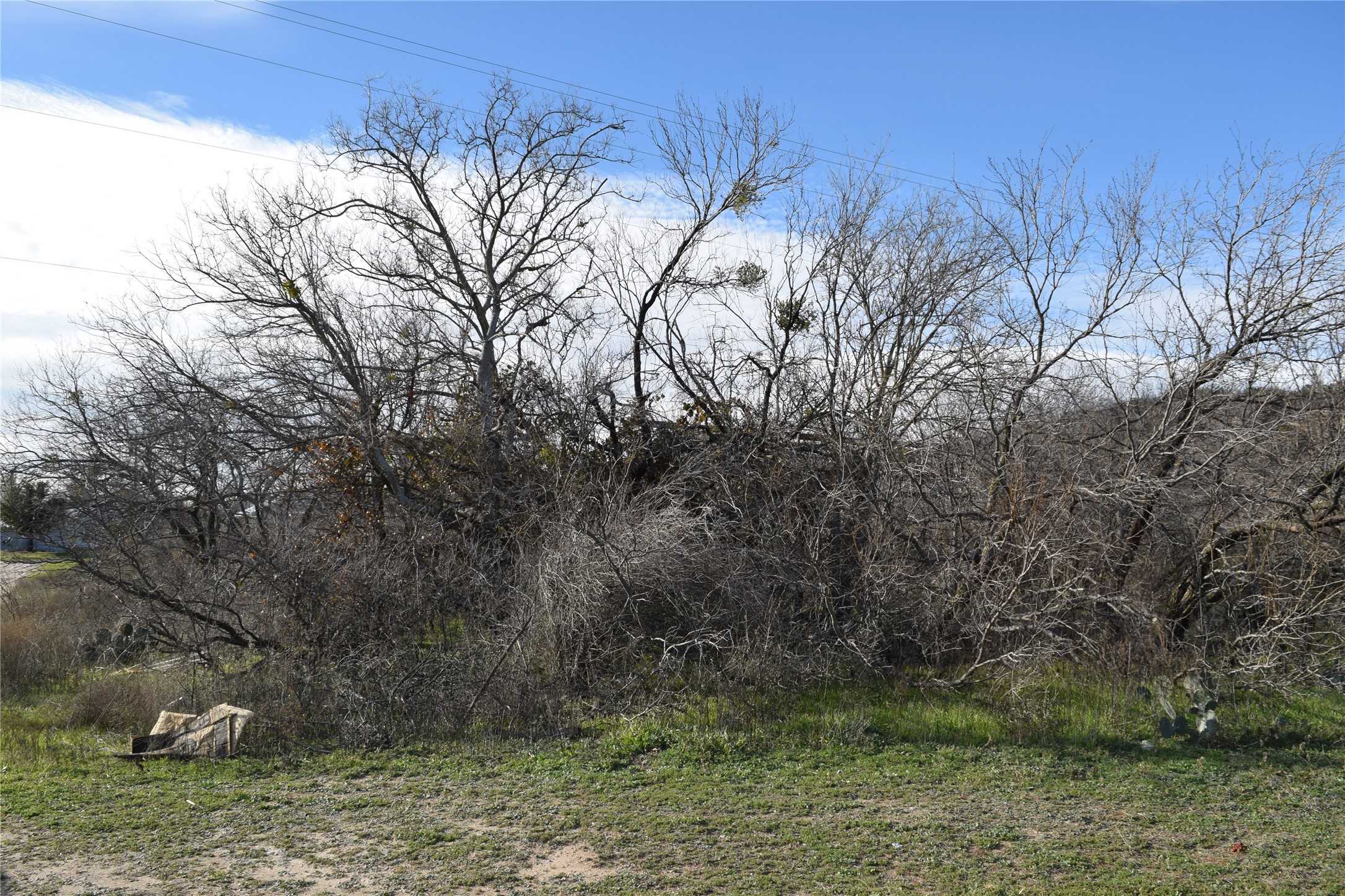 photo 3: TBD FM 1176, Santa Anna TX 76878